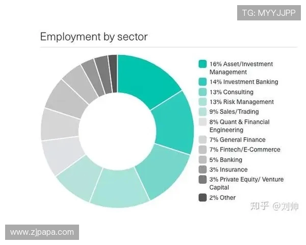 英超球队老板投资情况与俱乐部财务分析 英超球队老板投资情况与俱乐部财务分析