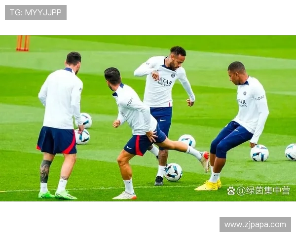 法甲外援球员对联赛的贡献度分析